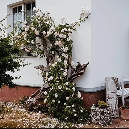 Lejlighed Gaestehaus Lavita *