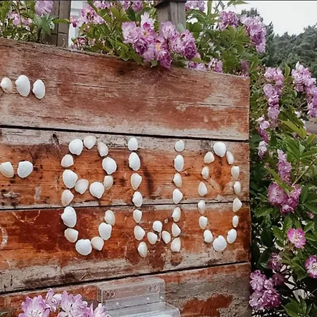 Gaestehaus Lavita Heringsdorf (Usedom)