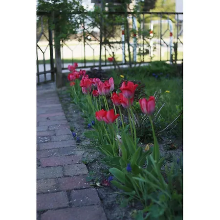 Gaestehaus Lavita Heringsdorf (Usedom)