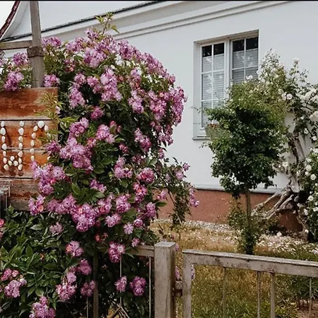 Gaestehaus Lavita Lejlighed