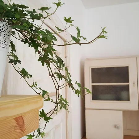 Gaestehaus Lavita * Heringsdorf (Usedom)